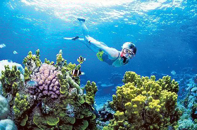 1.1046544-2687208807