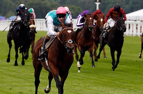 Frankel is regarded as one of the greatest horses of all time