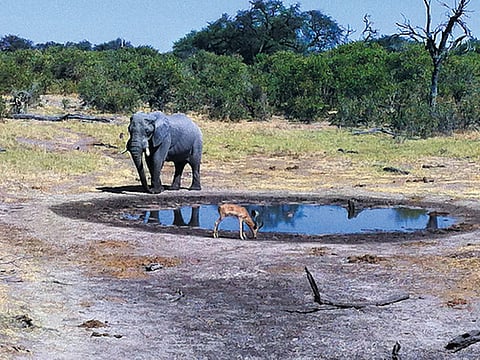 Sankha Kar/GULF NEWS