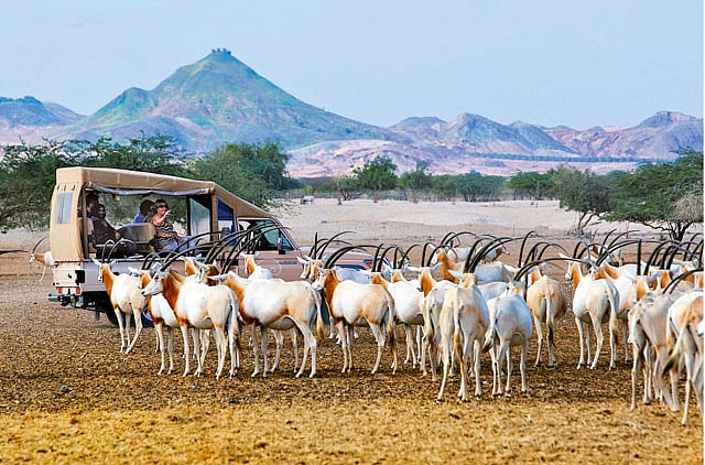 1.1043465-2044357454