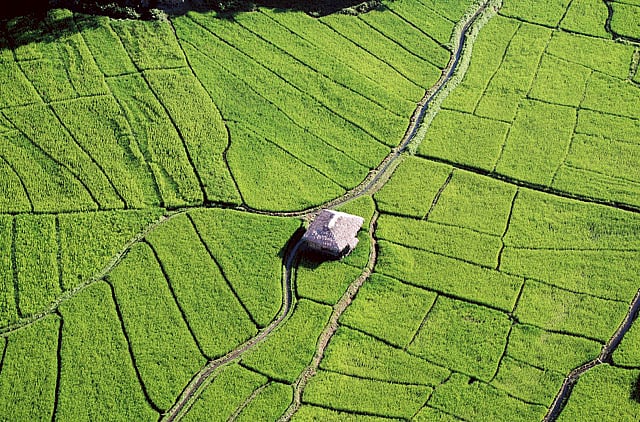 1.1045006-3183397056