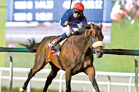 Gulf News Archives