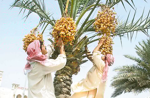 Ahmed Kutty/Gulf News