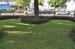 New attitude towards littering needed