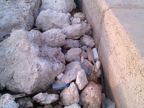 Litter spoils family outings