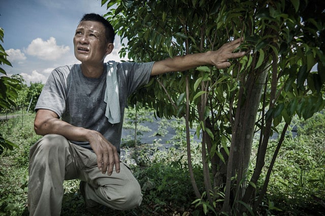 1.1061354-3585288752