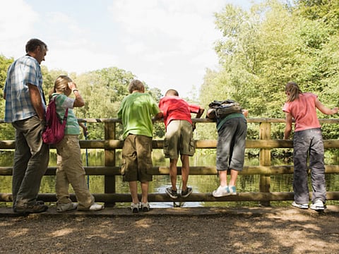 The Steiner education movement: Exploring alternative education