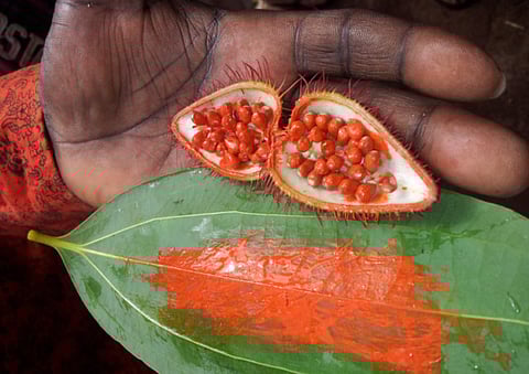 Omar Shariff/Gulf News