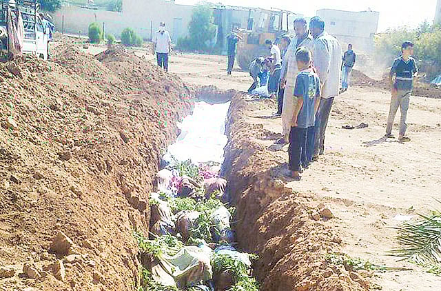 1.1066110-3314906243