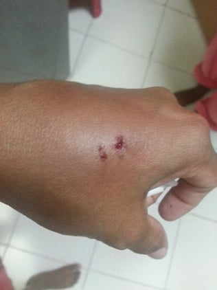 Courtesy: Dulanee Pereira