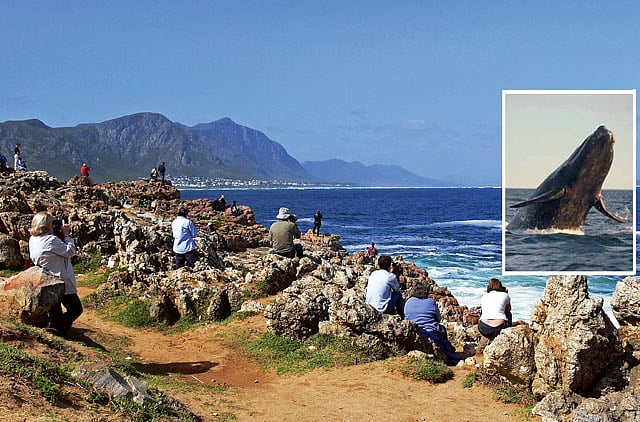 1.1067228-2802823669