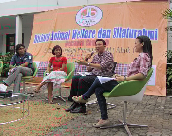 1.1064927-3252734198