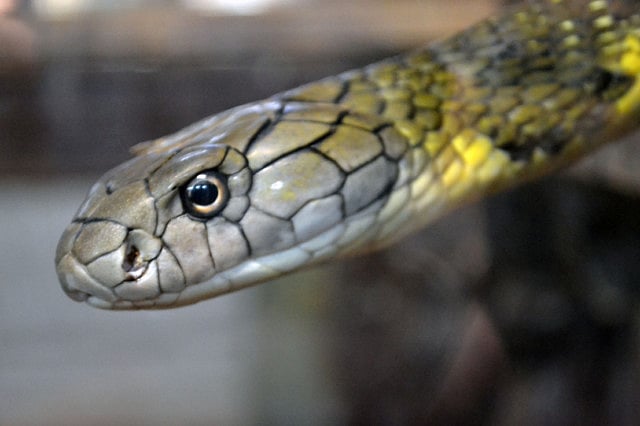 1.1698737-1192178837