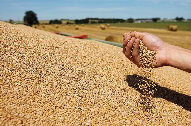 1.1060061-2460634197