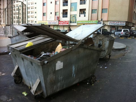 Placement of trash bins causes nuisance for park visitors