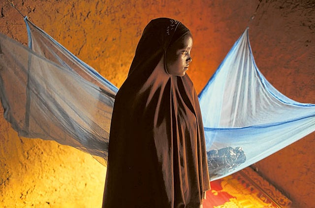 1.1076976-3010888816