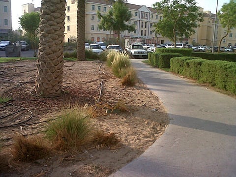 Playtime has potential to take shocking twist