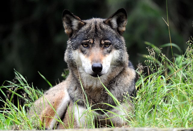 1.2111657-1283295991