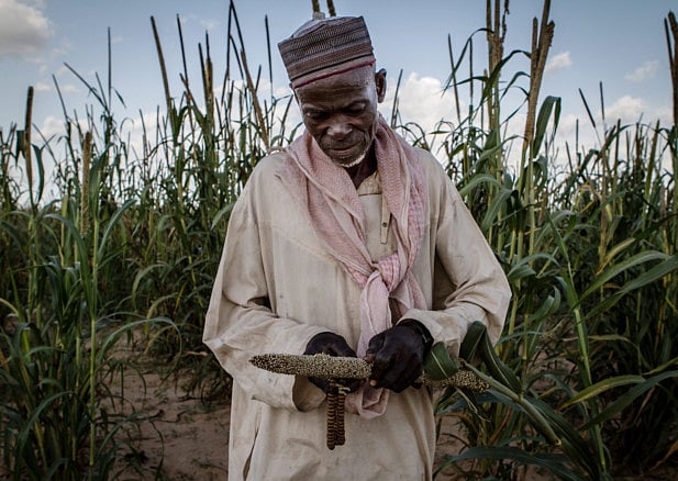 1.1071176-3675706328