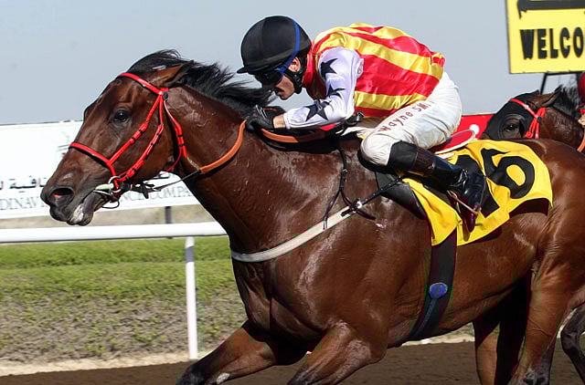 1.1130627-1359152053