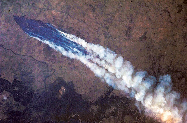 1.1131542-1647085842