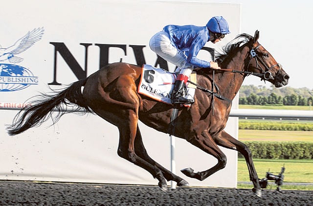 1.1133381-2619844825