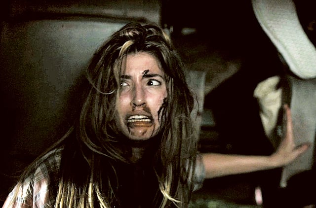 1.1135081-2764930544