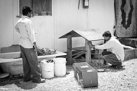 Spaying and neutering the best way to control the pet and stray population