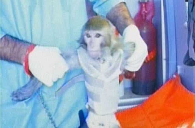 1.1138824-3575133685