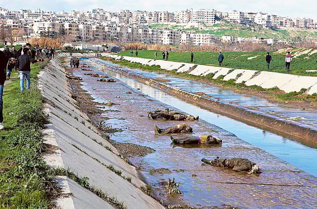 1.1139360-3049455111