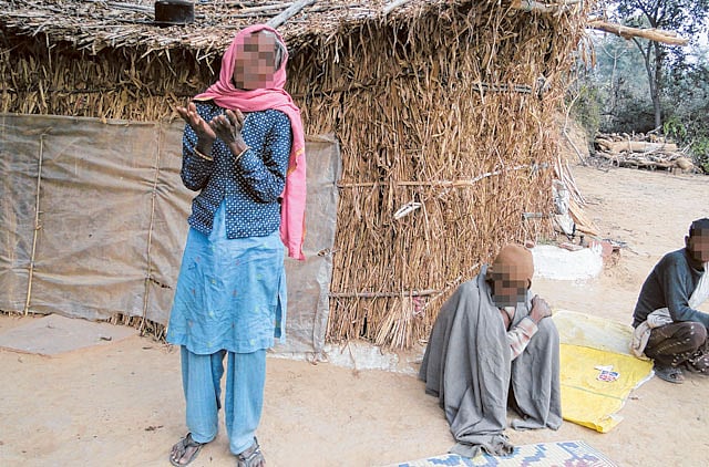 1.1139134-2215465885