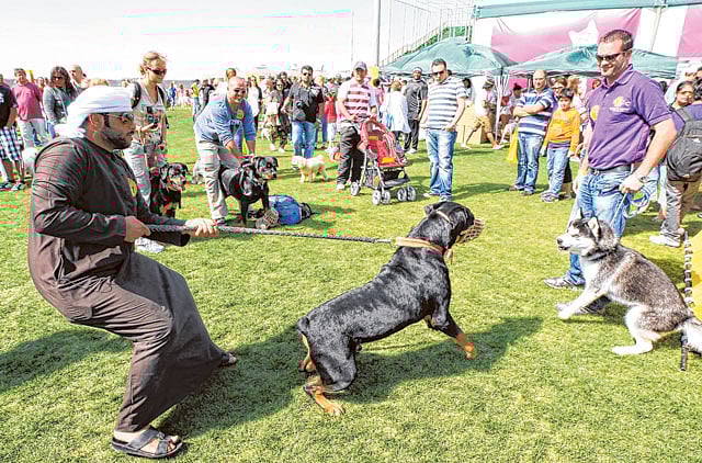 1.1140403-3863855158