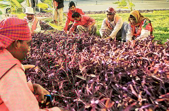 1.1127787-3929557983