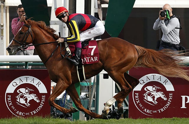 1.1237925-1075441821