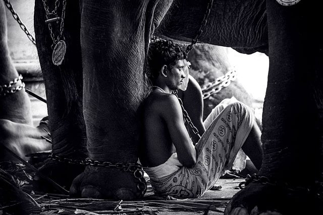 1.1241599-2975269024