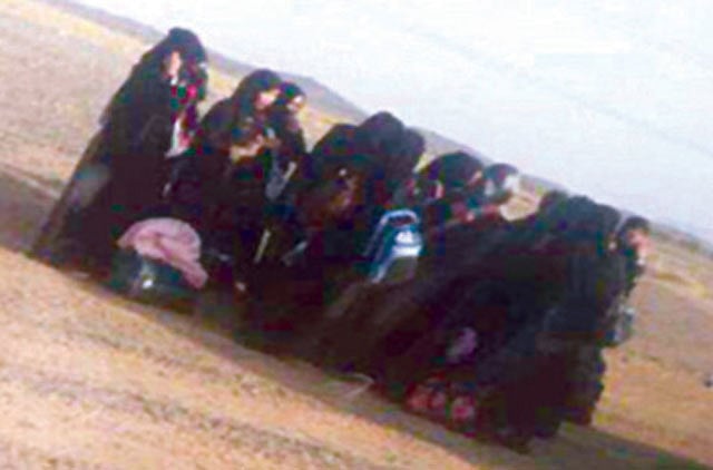 1.1243950-3589022185