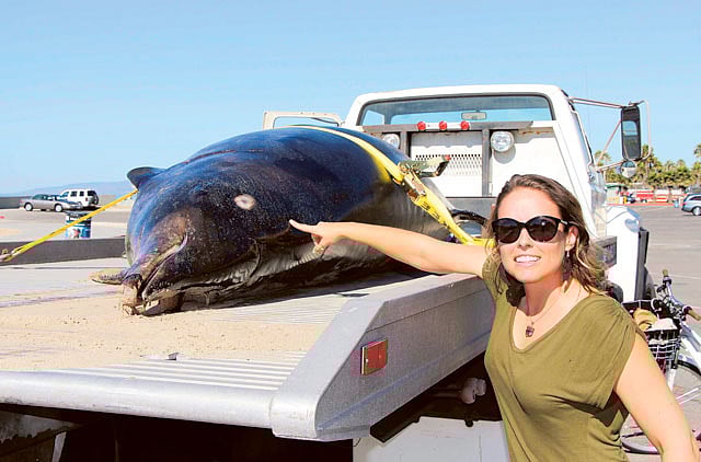 1.1243958-2342808071