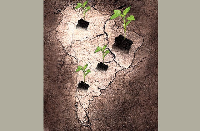 1.1244454-2941217623