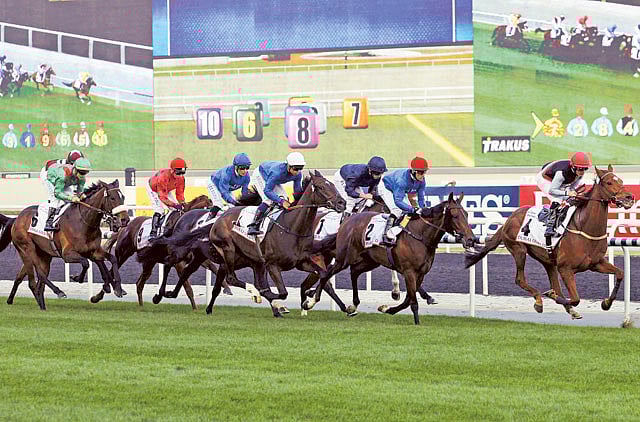 1.1245100-4117511480