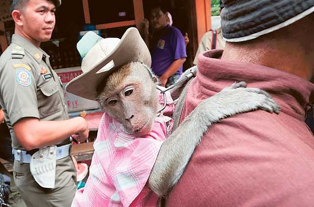 1.1248179-1562772724