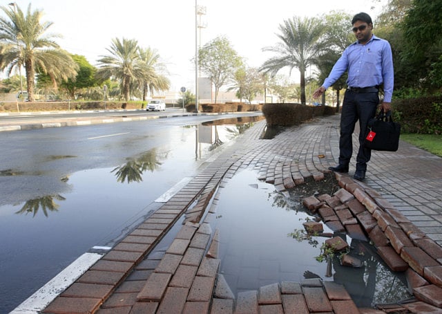 1.1249424-3919783433