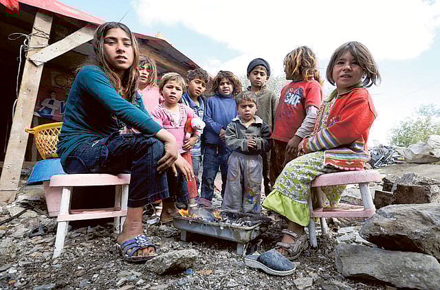 1.1239457-2502081438