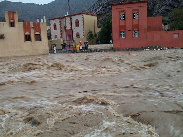 1.1255929-2354288336