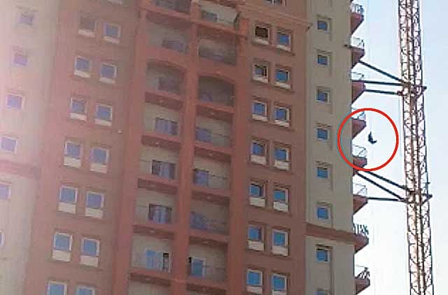 1.1256088-2400021455