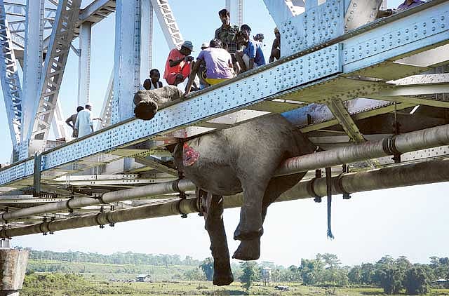 1.1256209-1773204330