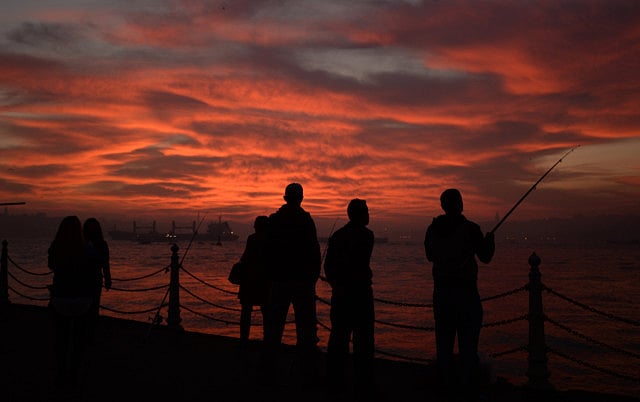 1.1257459-2569009073