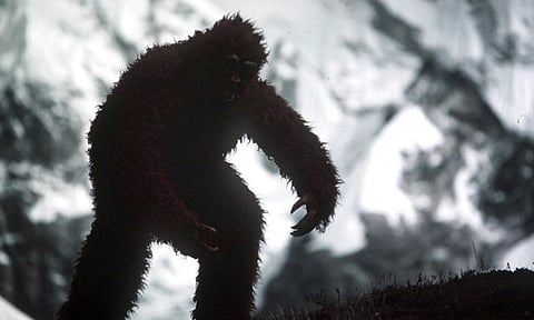 The Yeti comes in from the cold