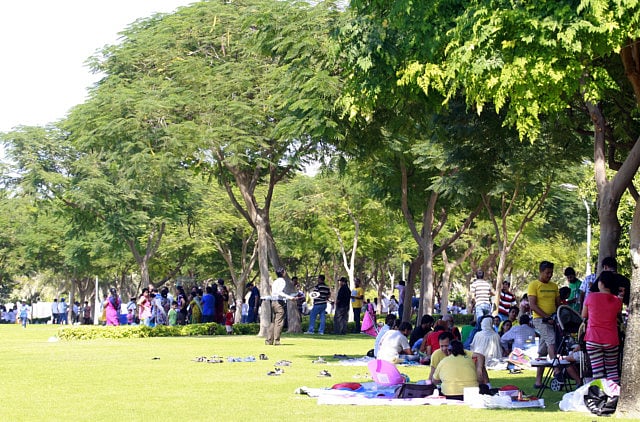 1.1251942-2897169488