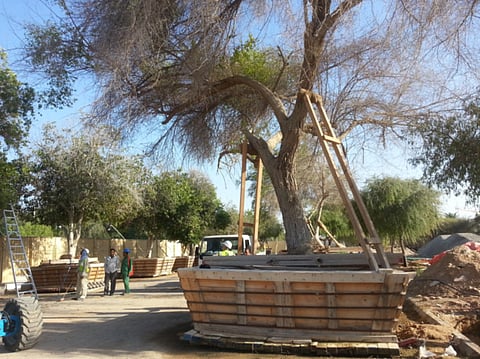 Jai Prasad Rai/Xpress