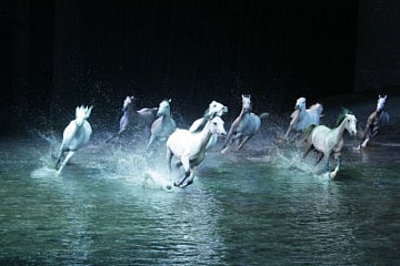 Equestrian spectacle comes to Abu Dhabi